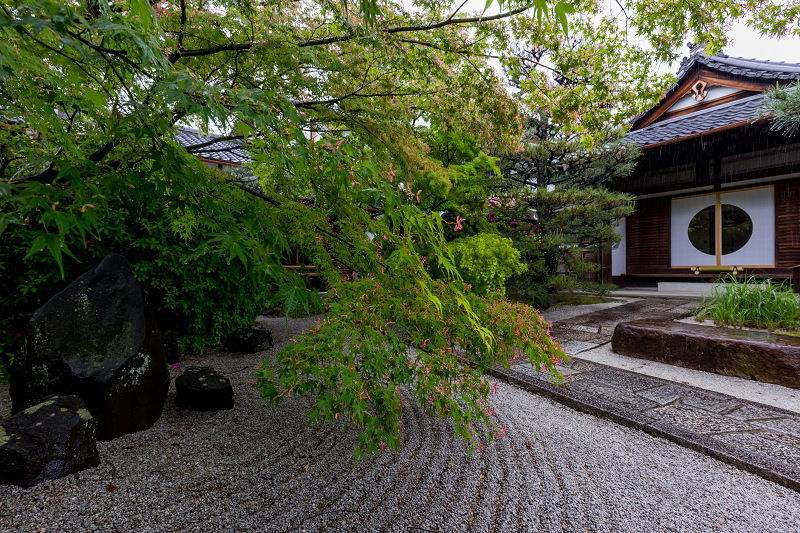 雨中新緑（東福寺塔頭・光明院）_f0155048_21290818.jpg