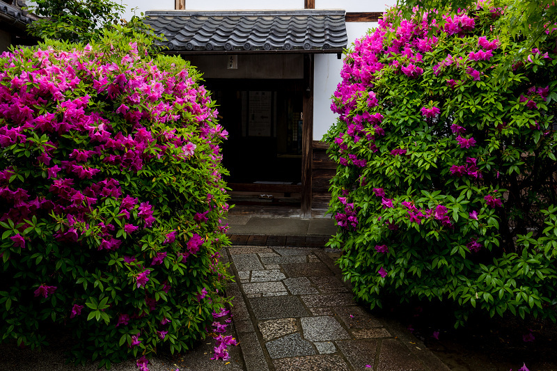 雨中新緑（東福寺塔頭・光明院）_f0155048_21313329.jpg