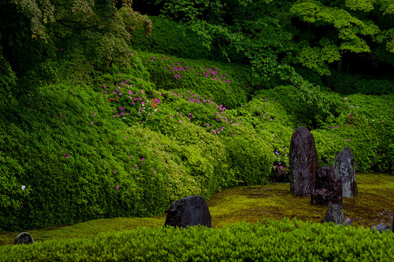 雨中新緑（東福寺塔頭・光明院）_f0155048_21334743.jpg