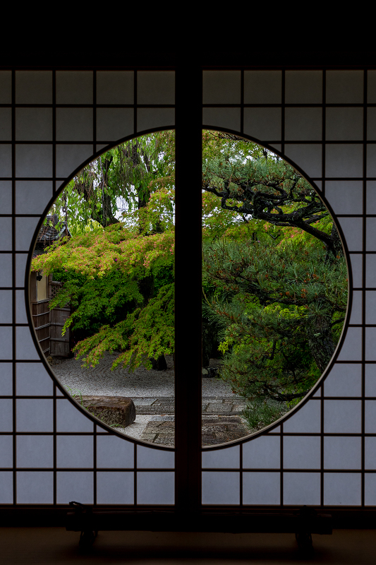 雨中新緑（東福寺塔頭・光明院）_f0155048_21432556.jpg