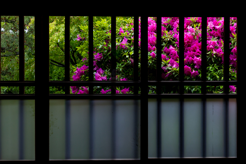 雨中新緑（東福寺塔頭・光明院）_f0155048_21435607.jpg