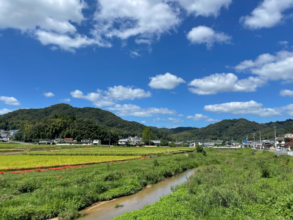 【チャリ旅47第三弾9:岡山→智頭 90キロ】ゆっくりでも前に進んでいると確実に着く、まるで人生だ! 2021.9.19_b0002156_23544821.jpg