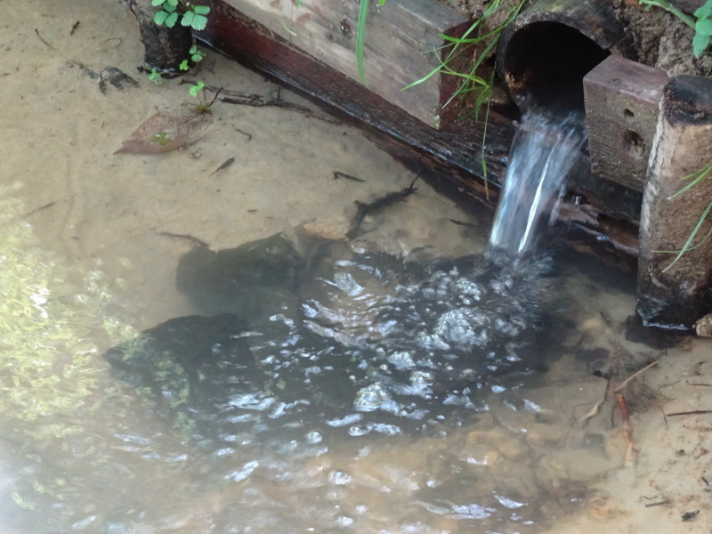 ビオトープの水漏れチェック・・・うみべの森_c0108460_13493309.jpg