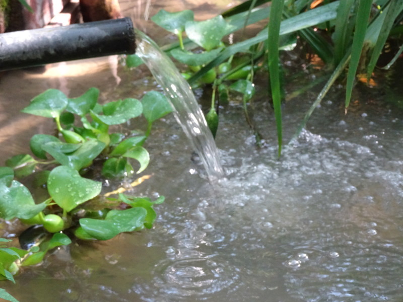 ビオトープの水漏れチェック・・・うみべの森_c0108460_13493319.jpg