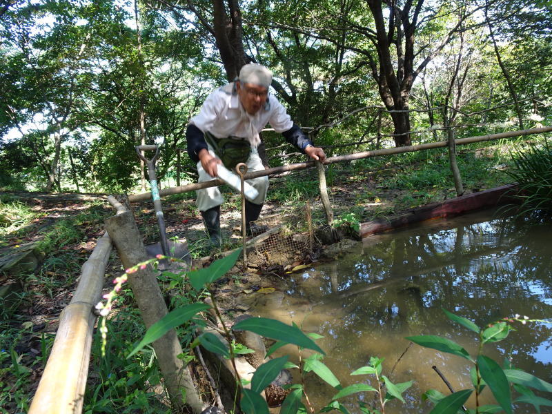 ビオトープの水漏れチェック・・・うみべの森_c0108460_13493483.jpg