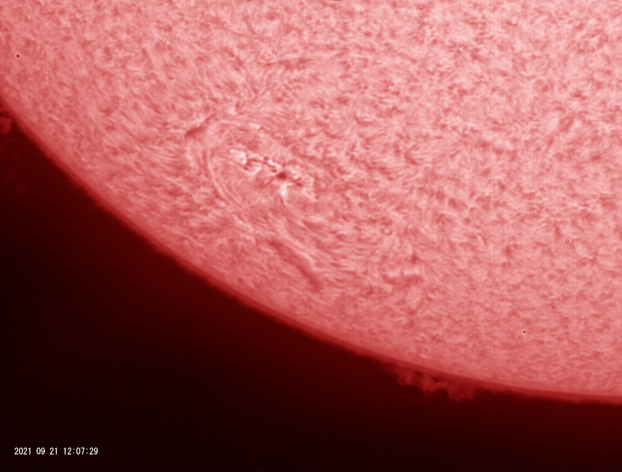 9月21日の太陽_e0174091_11014247.jpg