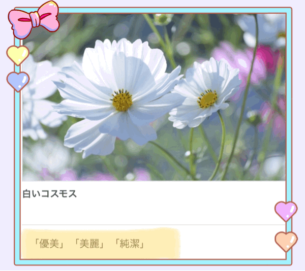 昔から馴染みのあるお花…&#127800;&#127800;&#127800;_c0162404_13235923.gif