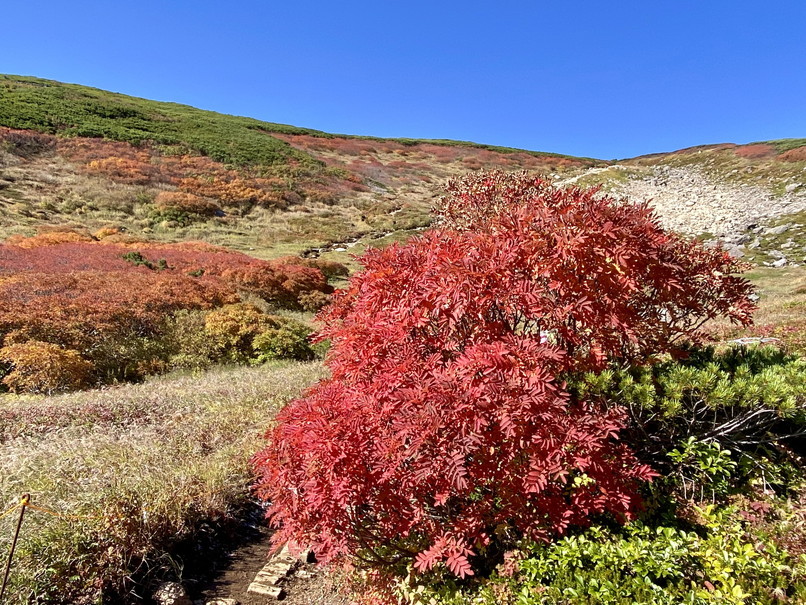 2021年9月 『紅葉の大雪山（１）、赤岳から白雲岳、緑岳』 September 2021 \"Mt Taisetsu in the Autumn Color #1\"_c0219616_10254400.jpg