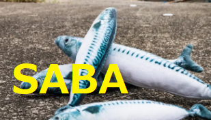 SABINA III研究：SABAの過剰使用は喘息コントロール悪化や重症喘息と関連_e0156318_23491369.png