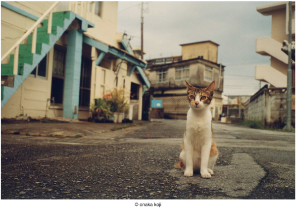 尾仲浩二氏 写真展「Have a Break」_b0187229_09365523.png
