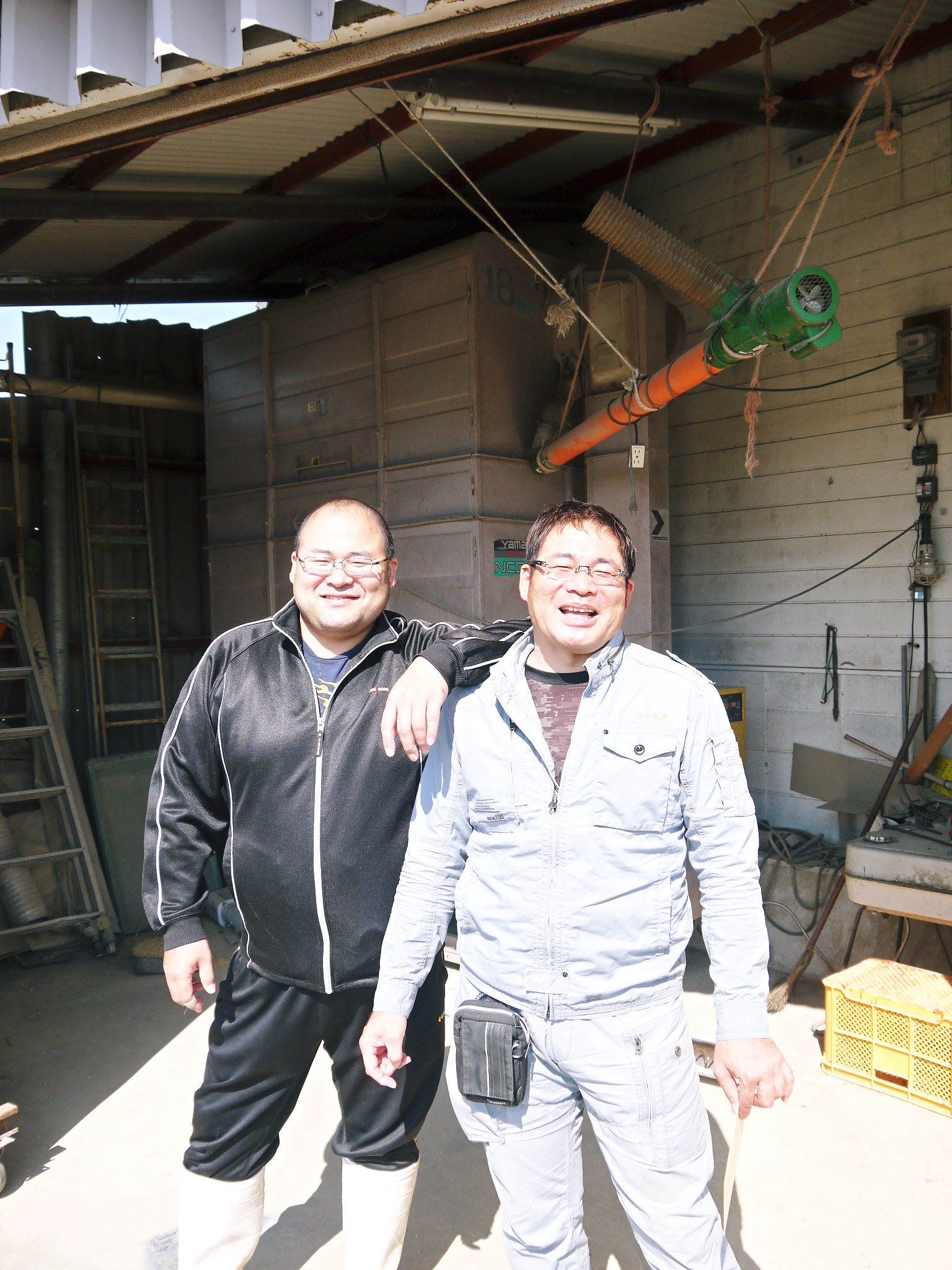 砂田米 花から頭を垂れ始めるまで!今年も順調に黄金色に色づき始めました! 令和3年度も減農薬栽培です!_a0254656_19253557.jpg