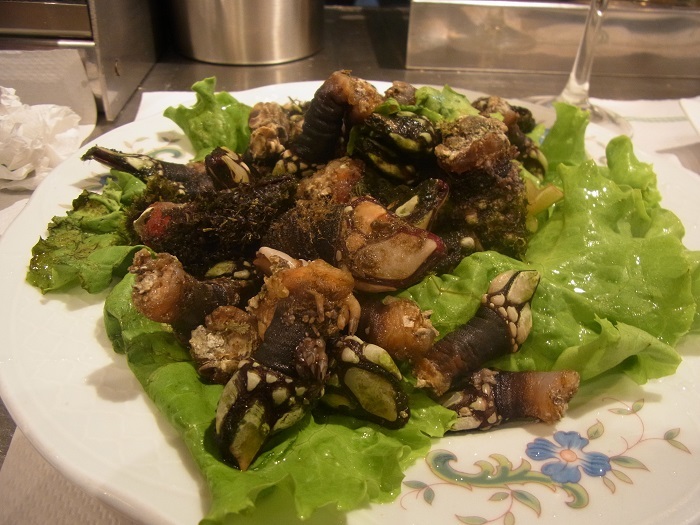 これは旨い 14年9月 スペインで食べた 亀の手 ワイン好きの料理おたく 雑記帳