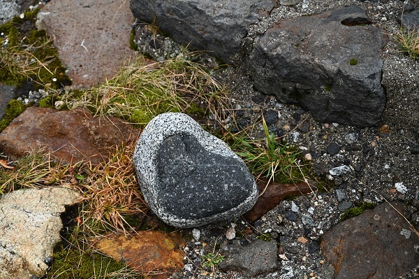 立山室堂平に１泊_d0188401_08365325.jpg