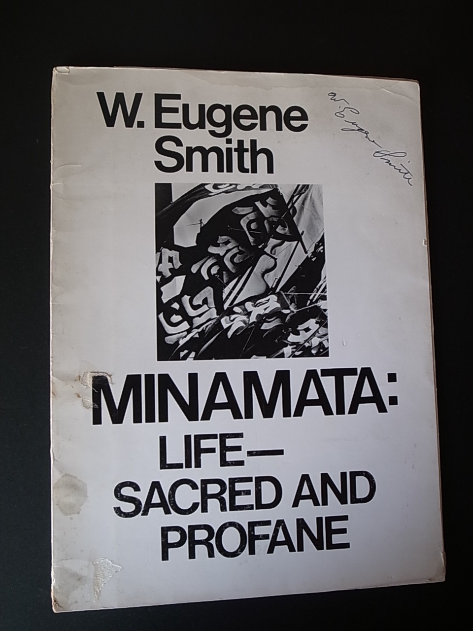 水俣：生-その神聖と冒瀆 / Minamata: Life-Sacred and Profane