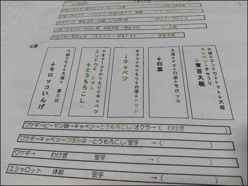 畑コーディネーターのお仕事 口も頭も使ってお疲れです。_a0331562_06430896.jpg