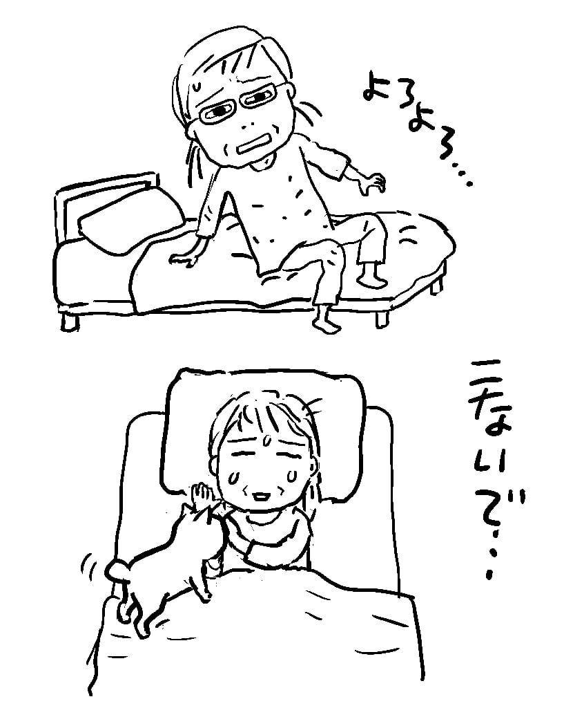 病病介護のランチボックス_b0019674_21295477.jpg