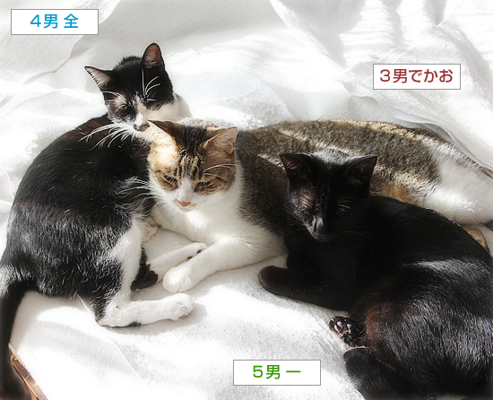 男子ーず_a0389088_18142359.jpg