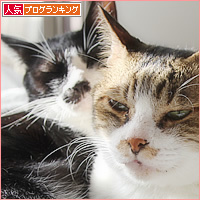 男子ーず_a0389088_18142424.jpg