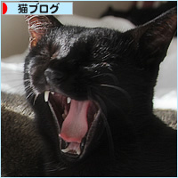 男子ーず_a0389088_18142482.jpg