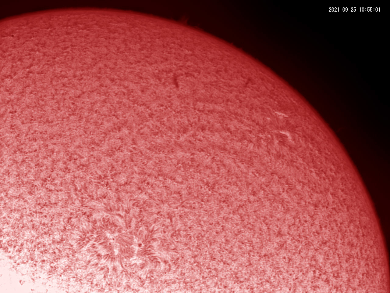 9月25日の太陽_e0174091_17160534.jpg