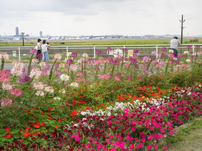 6月某日、ジェットスターで成田空港と航空機を見学(2)_f0276498_22573591.jpg