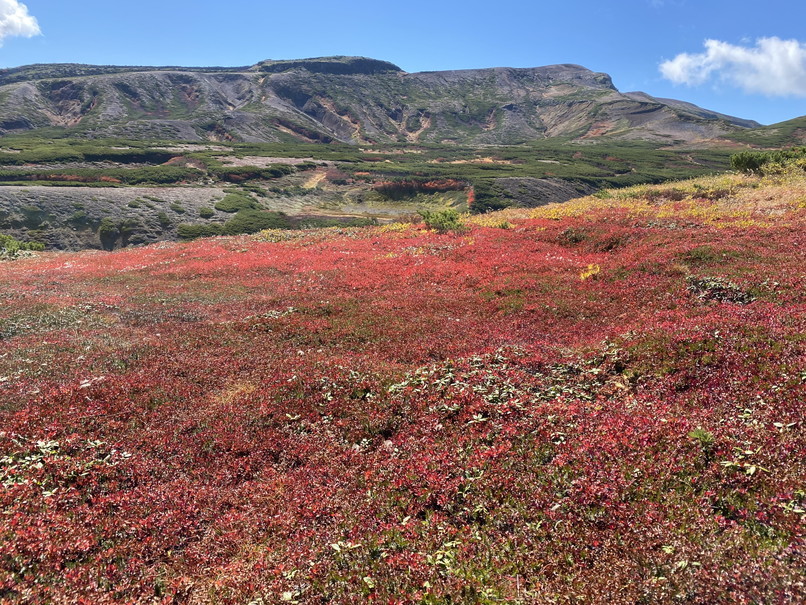 2021年9月 『紅葉の大雪山(2)黒岳、北海岳、北鎮岳、お鉢』 September 2021 \"Mt Taisetsu in the Autumn Color #2\"_c0219616_14595591.jpg
