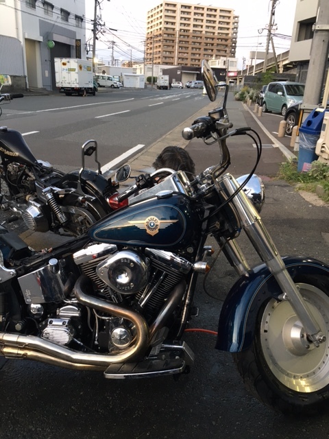 2021/9/26 9月もあっという間。_a0110720_16294723.jpg