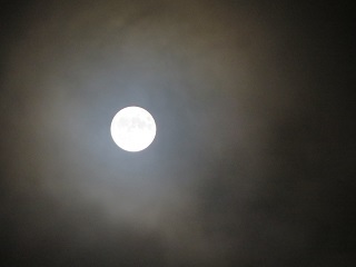 中秋の名月をみんなで愛でました_b0405523_22523947.jpg