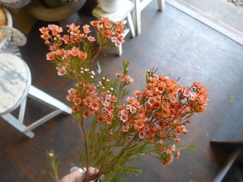 花修行~波やしさんへの初秋なアレンジメント~_f0232060_13185173.jpg