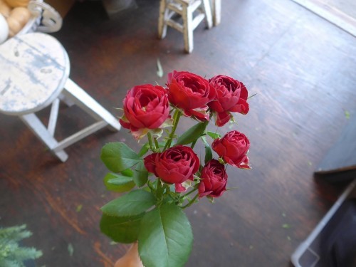 花修行~波やしさんへの初秋なアレンジメント~_f0232060_13185500.jpg