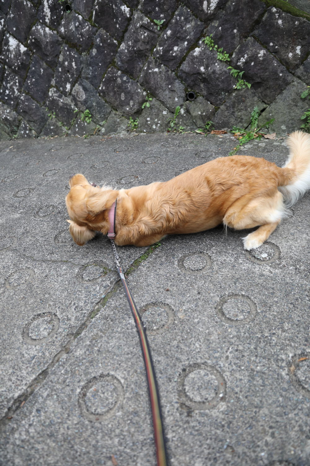 日曜日_b0275998_19140423.jpg