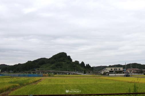 曇り空の日曜日(^^)_c0140599_14181367.jpg