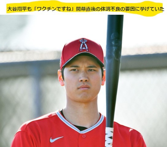 決定的な毒ワクチン解説動画❣欧州議会でファイザー追及と購入責任者も❣地方民放が暴露❣ワクチンテロ❣ウイルス存在トリックの種明かし❣テドロスにサル痘の非常事態宣言させた統一教会の笹_e0069900_16180372.jpg