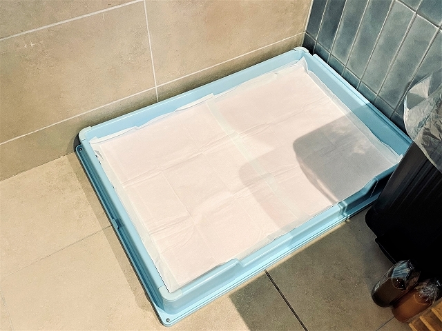 トイレトレーニング成功の秘訣_d0360206_19213041.jpg