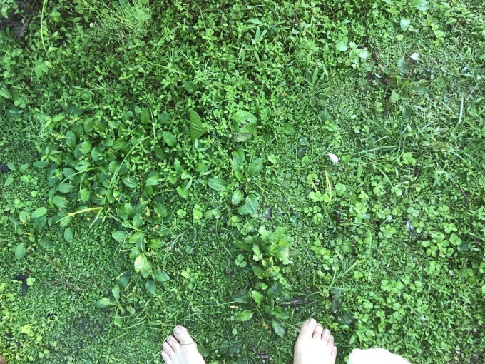 画材_d0101846_07123856.jpeg