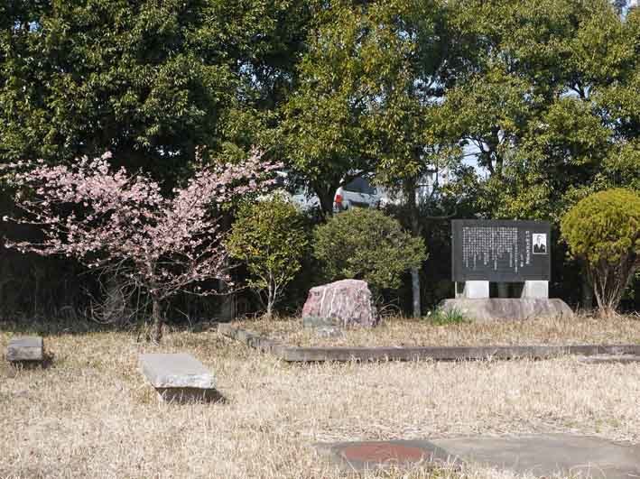 大ショック！記念樹の初太郎桜が伐られた9・20_c0014967_17085300.jpg