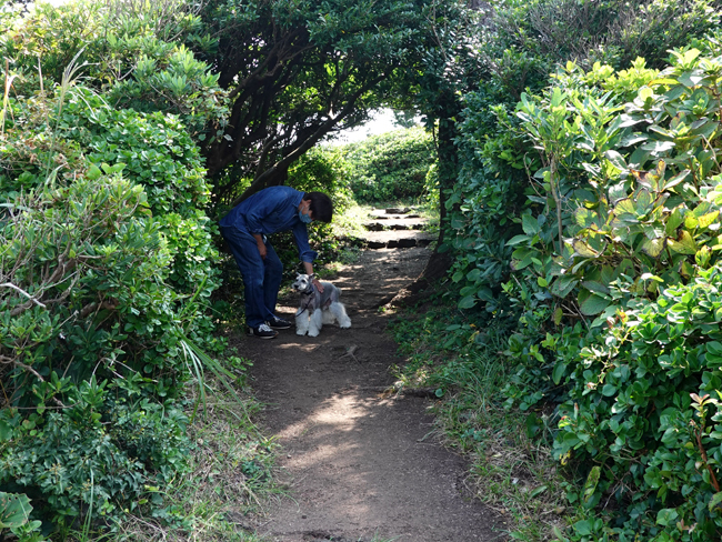 絶景 城ヶ崎海岸のつり橋とぼら納屋_e0277800_13360080.jpg