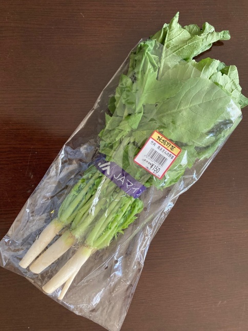 家庭菜園で学んだこと 「野菜を食べる 土を食べる」_d0348118_14451642.jpeg