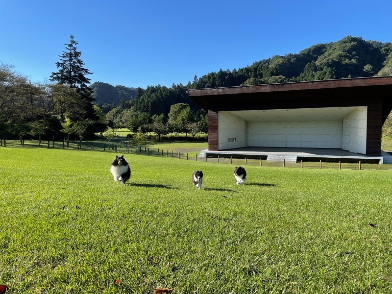 秋に近づいていてほしい_f0126965_15521323.jpg