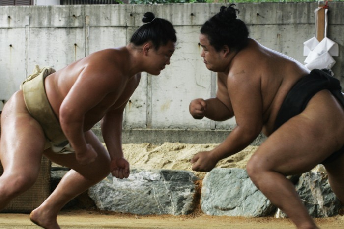 史上最強の横綱 白鵬 引退 Turfに魅せられて 写真紀行