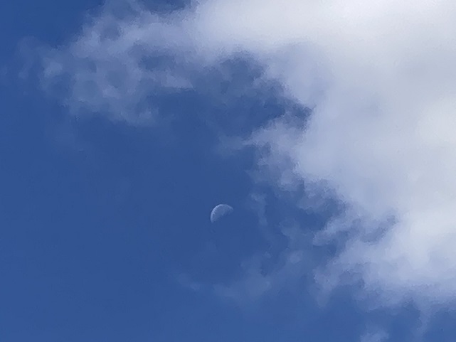 下弦の月と今日の秋の風景_f0162908_17162904.jpg
