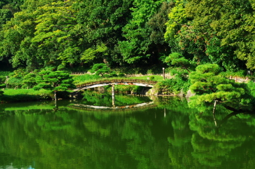 江東区　清澄庭園の9月2_a0263109_22355172.jpg