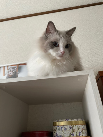 空の居場所_b0340621_15270359.jpeg