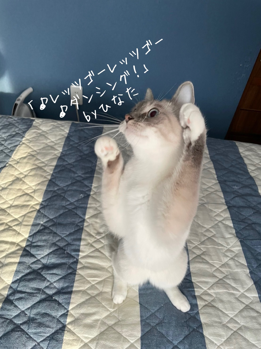 空の居場所_b0340621_15272530.jpeg
