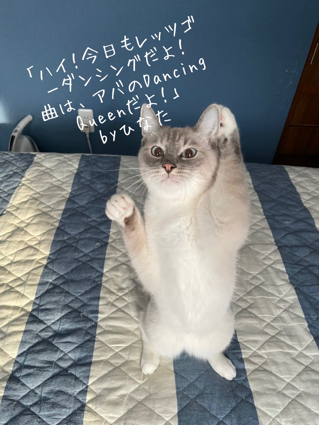 空の居場所_b0340621_15272803.jpeg