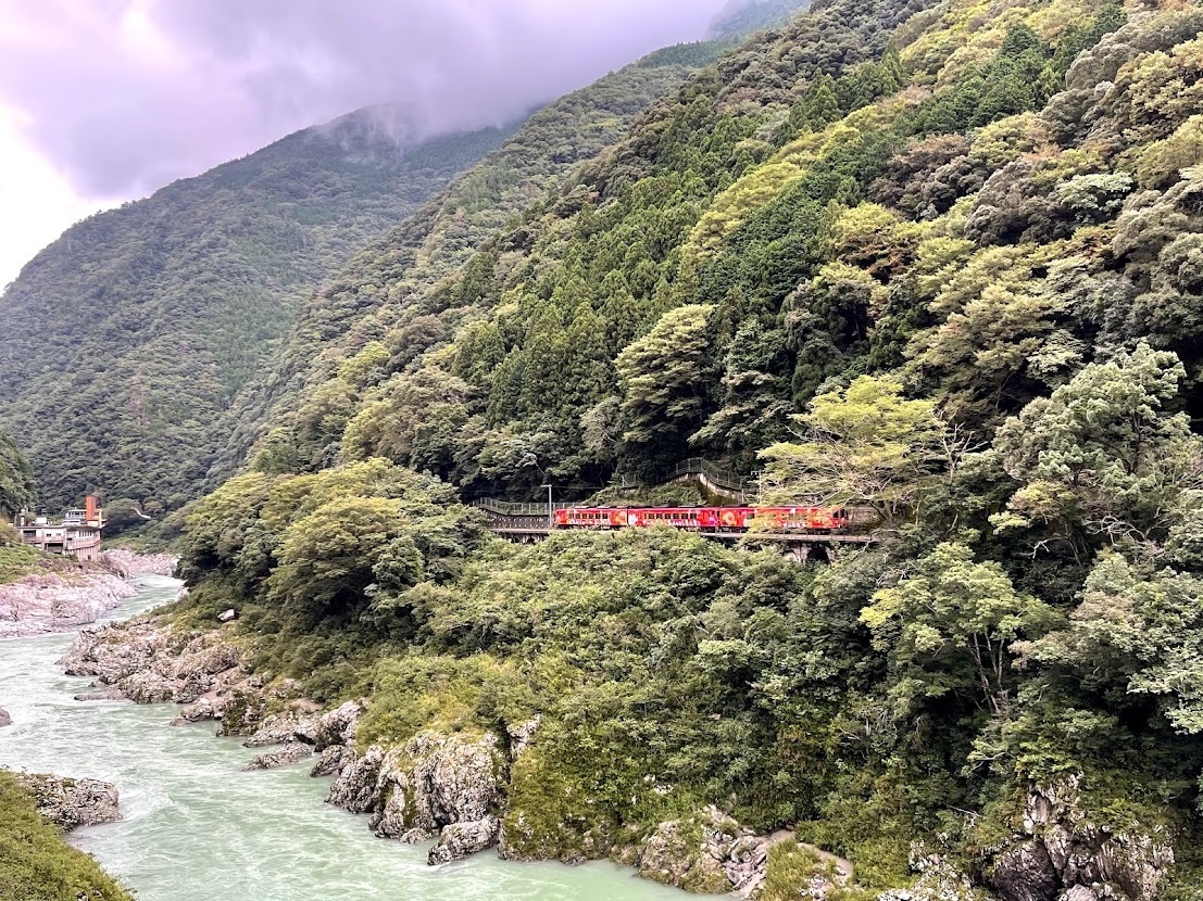四国一周 車中泊の旅 2 徳島から高知へ 再び海沿いへ 旅のホルマリン漬け