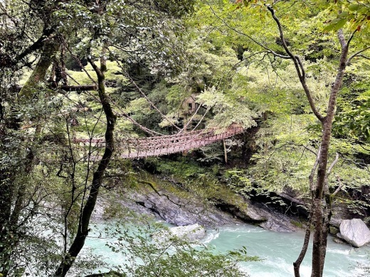 四国一周 車中泊の旅 2 徳島から高知へ 再び海沿いへ 旅のホルマリン漬け