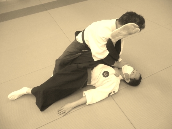 裏技 : 国際水月塾武術協会 International Suigetsujuku Bujutsu