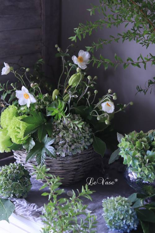 9月Living flower「秋のお花のハンギングバスケット」_e0158653_14491247.jpg