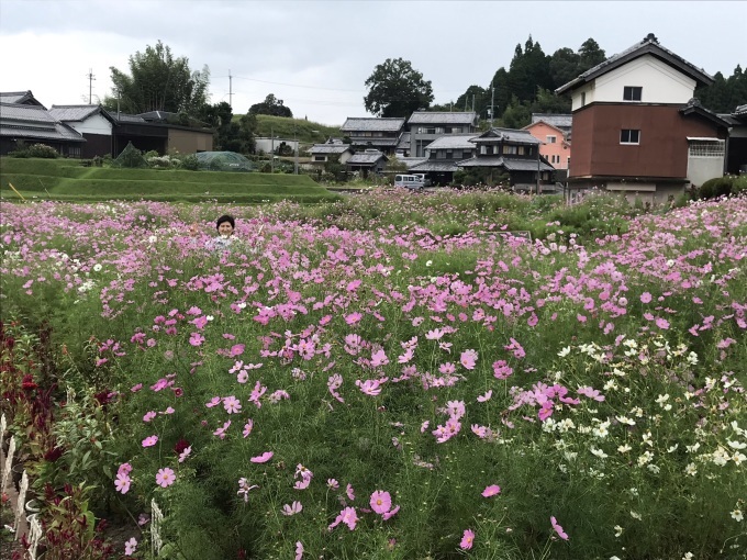 プラスキムチのカキフライカレー_b0100062_09004932.jpeg